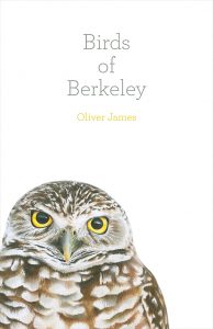 Birds-Of-Berkeley